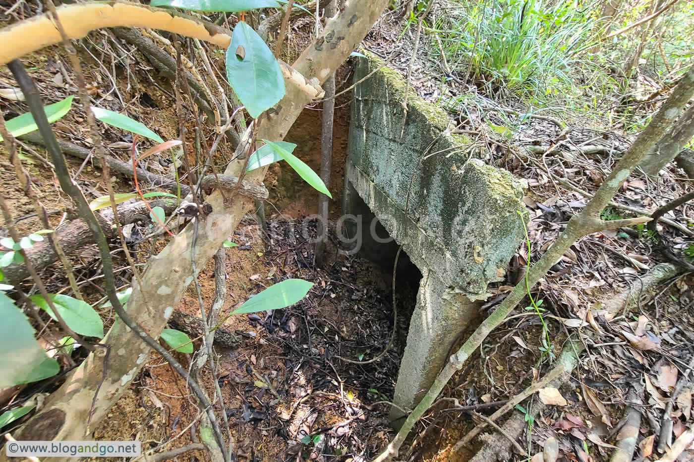 HK Trail 6 - Gauge Basin Battery, Tai Tam